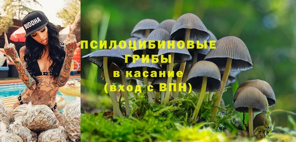 прущие крисы Беломорск