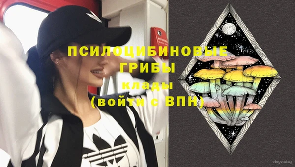 прущие крисы Беломорск