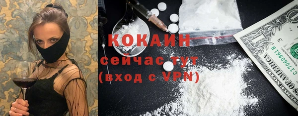 мяу мяу мука Белокуриха