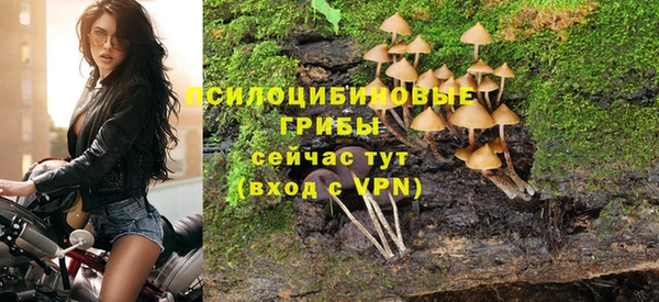 мяу мяу мука Белокуриха
