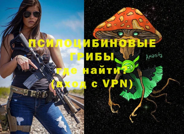 прущие крисы Беломорск