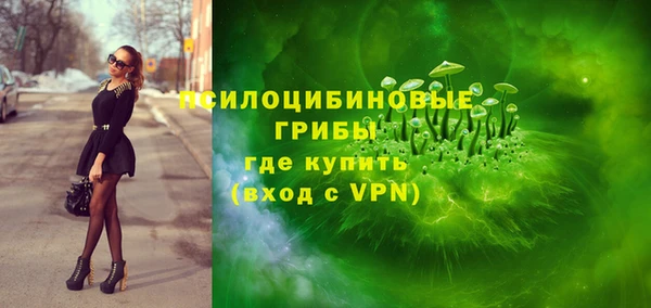 мяу мяу мука Белокуриха